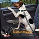thumbnail image 4 of Cinturón de seguridad para perros con absorción de impactos y mosquetón elástico ajustable, adecuado para perros medianos y grandes con tira reflectante (negro, 1 unidad), 4 of 4
