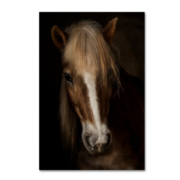 Martine Benezech 'Sapience' Canvas Art