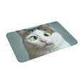 thumbnail image 2 of Daiia Funny Cat Front Door Mat, Heavy Duty Durable Welcome Mat for Outdoor Indoor, Dirt Trapper Waterproof Super Absorbent Door Mat, 16" x 24", 2 of 9