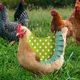thumbnail image 5 of Delantal de gallina con montura de pollo de 3 piezas, chaqueta de pollo, delantal de gallina, fijador de plumas, cubierta trasera de ala de aves de corral, 5 of 6