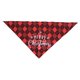 thumbnail image 3 of Lindo pañuelo triangular, pañuelo decorativo, baberos, corbata, lavable Rojo, 3 of 6