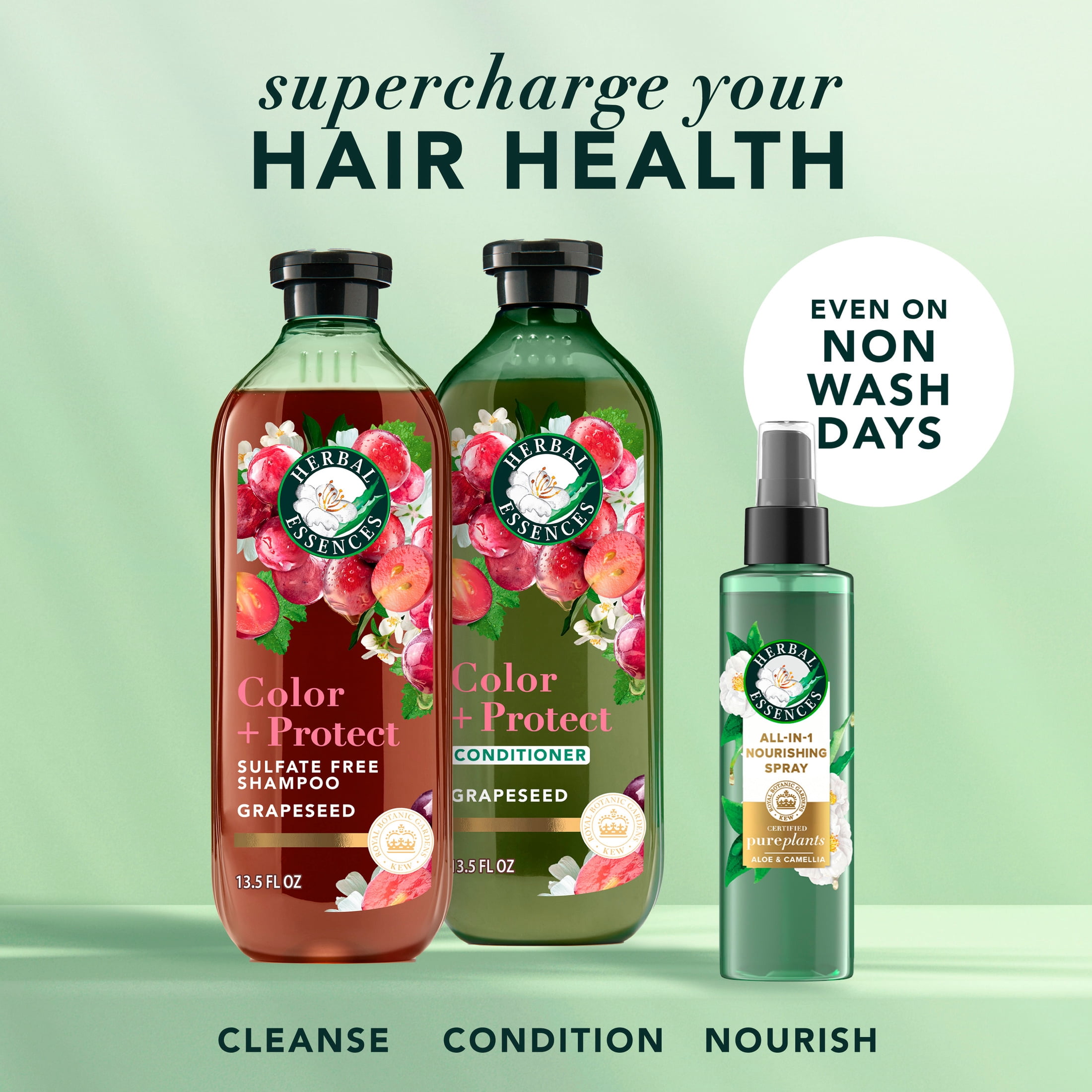 Herbal Essences Color + Protect Grapeseed Sulfate Free Shampoo, 13.5 fl oz