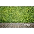 thumbnail image 3 of GreenDecor 7x5ft Green Plant And Brown Wood Background Photo Backdrops Studio Background Studio Props, 3 of 5
