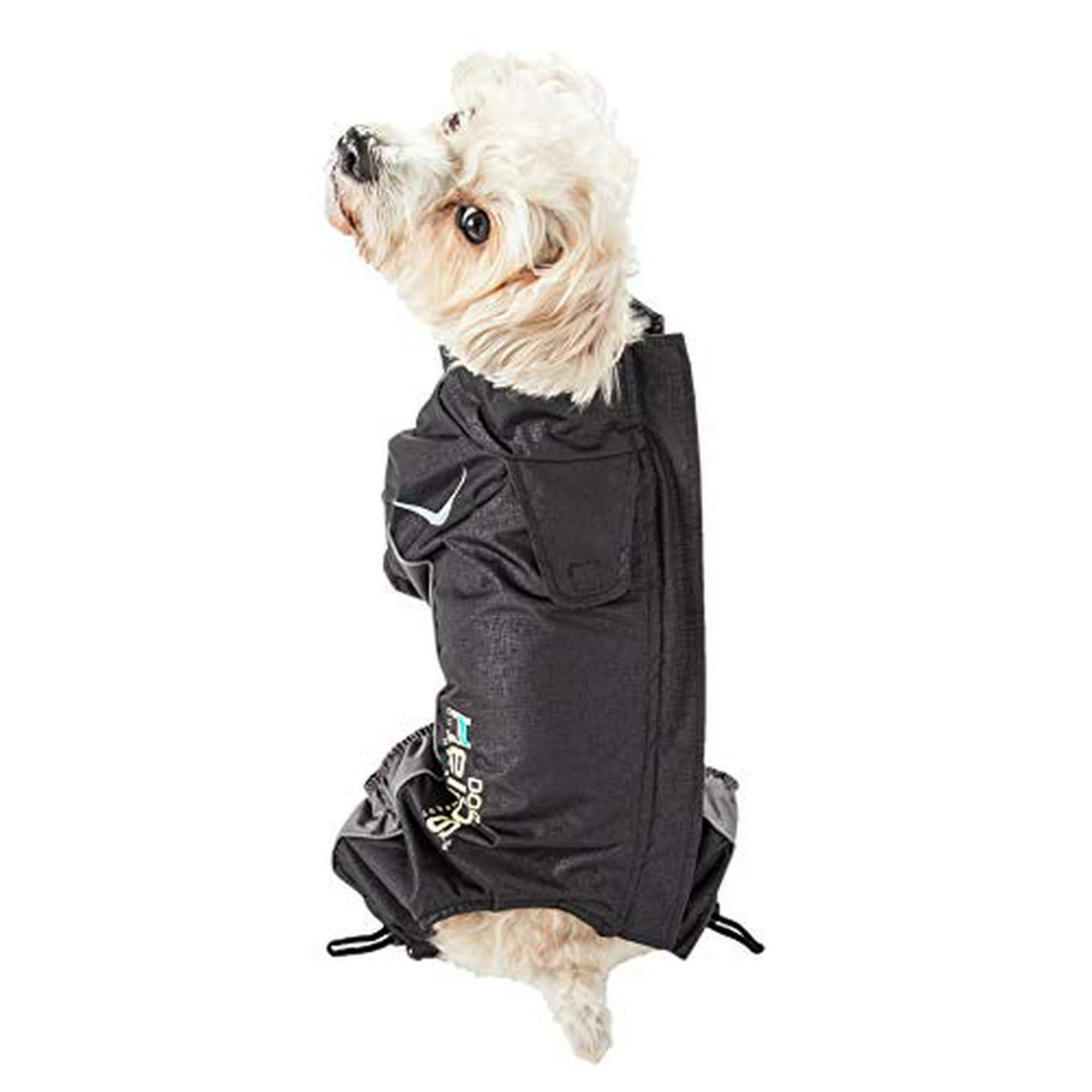 Dog helios blizzard hot sale