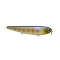 thumbnail image 3 of Lucky Craft Sammy 100 Topwater Ghost Minnow, 3 of 11