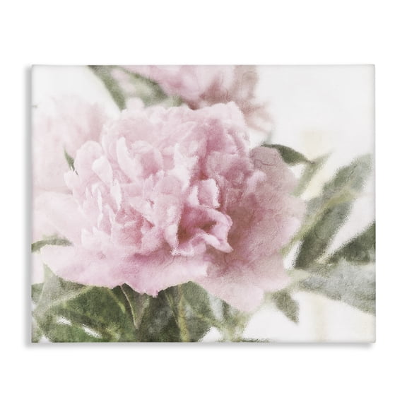 Stupell Industries Cottage Soft Pink Carnation Blossom Canvas Art, 30 x 24, by Lil' Rue