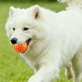 thumbnail image 3 of Durable Squeaky Interactive Chew Toy for - for Small Medium and Large Dogs, 3 of 4