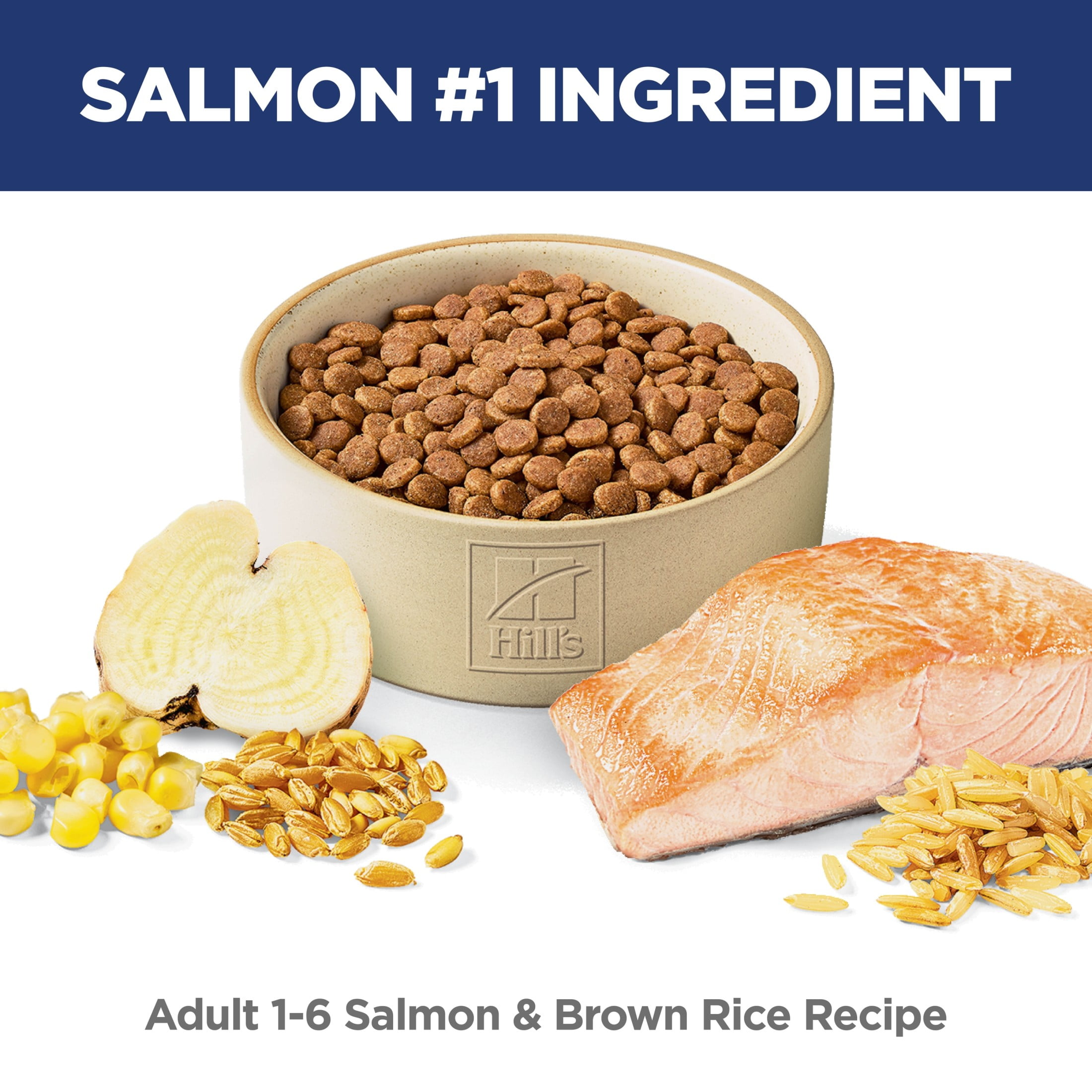 Hill's Science Diet Salmon & Brown Rice Recipe Dry Cat Food, 3.5lb Bag