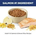 thumbnail image 6 of Hill's Science Diet Salmon & Brown Rice Recipe Dry Cat Food, 3.5lb Bag, 6 of 8