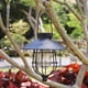 thumbnail image 4 of Faroles solares de jardín para exteriores, de metal, vintage, color blanco cálido, para jardín, patio, decoración de árboles, lámpara colgante de hierro., 4 of 5