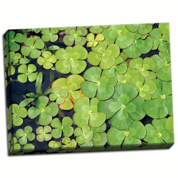 Gango Home Decor Lily Pads by Karyn Millet (Ready to Hang); One 24x18in Hand-Stretched Canvas