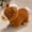 Brown, variant on strola Toys Soft Brown Horse Plush Toy 9 Inch, 2026 Year of the Horse Stuffed Animal Cute Foal Doll for Ki-ds, Emotional Support Desk Buddy for Chinese New Year Zodiac Mascot Gift