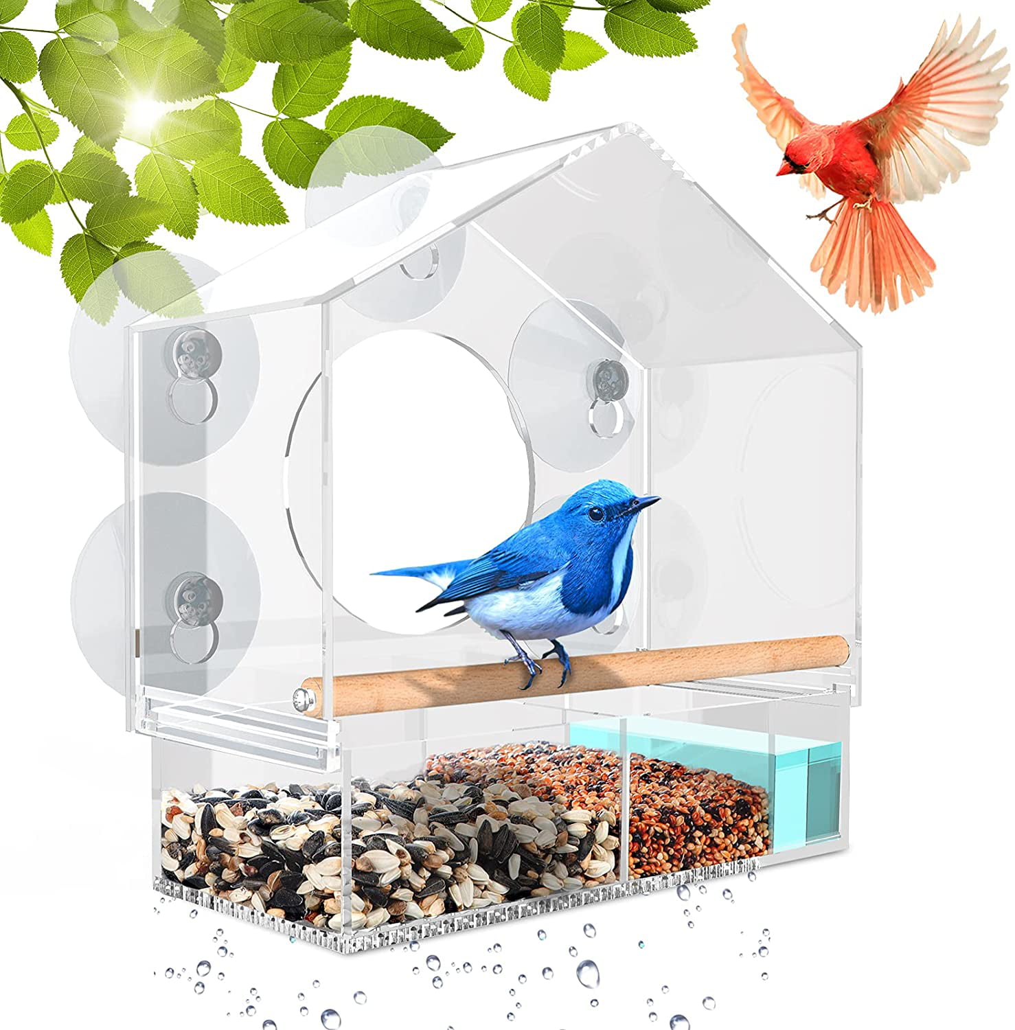 Large Acrylic Window Bird Feeder w/ Seed Tray Suction Cups & Drain Holes Outdoor 