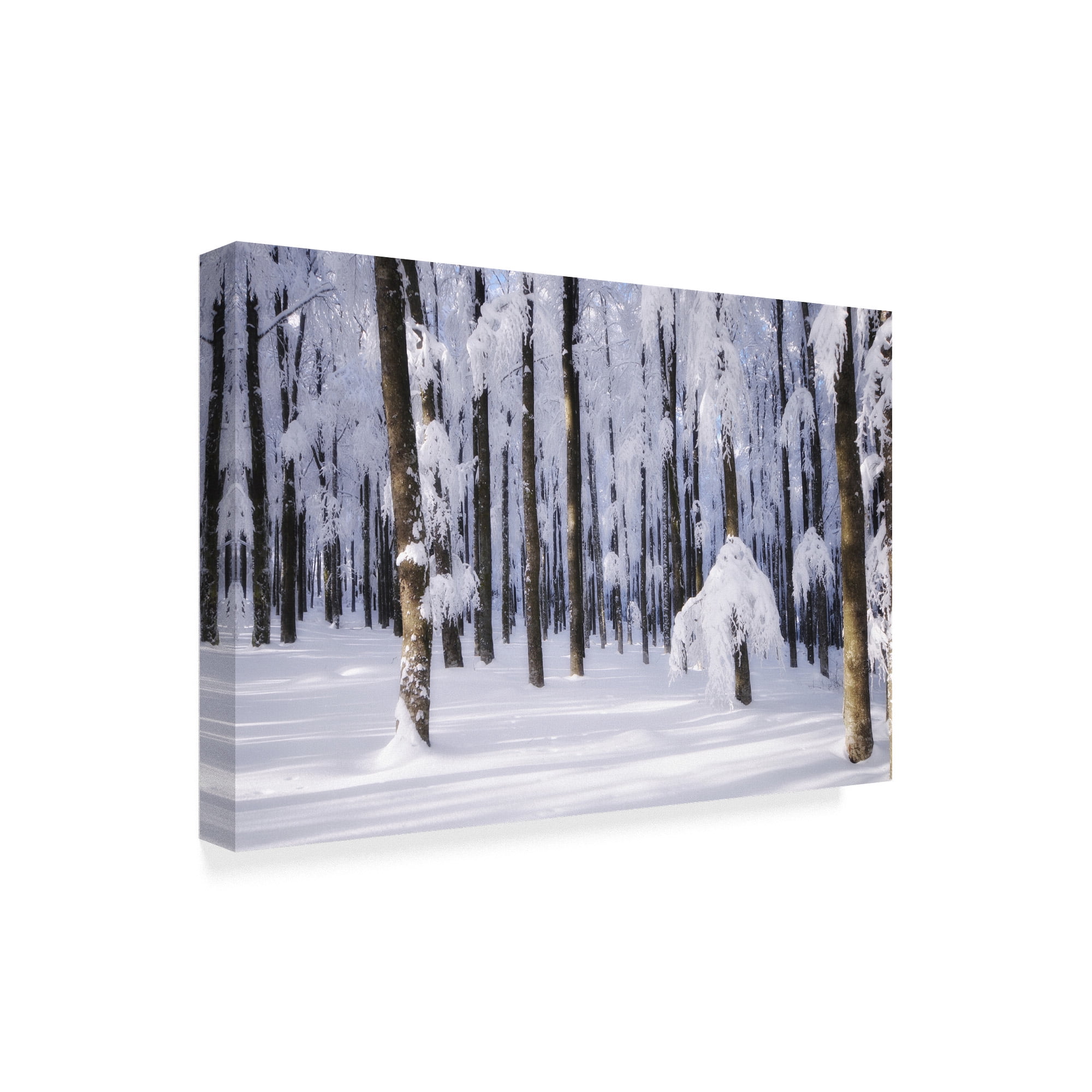 Trademark Fine Art 'White Muslin' Canvas Art by Philippe Sainte-Laudy