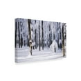 thumbnail image 2 of Trademark Fine Art 'White Muslin' Canvas Art by Philippe Sainte-Laudy, 2 of 4