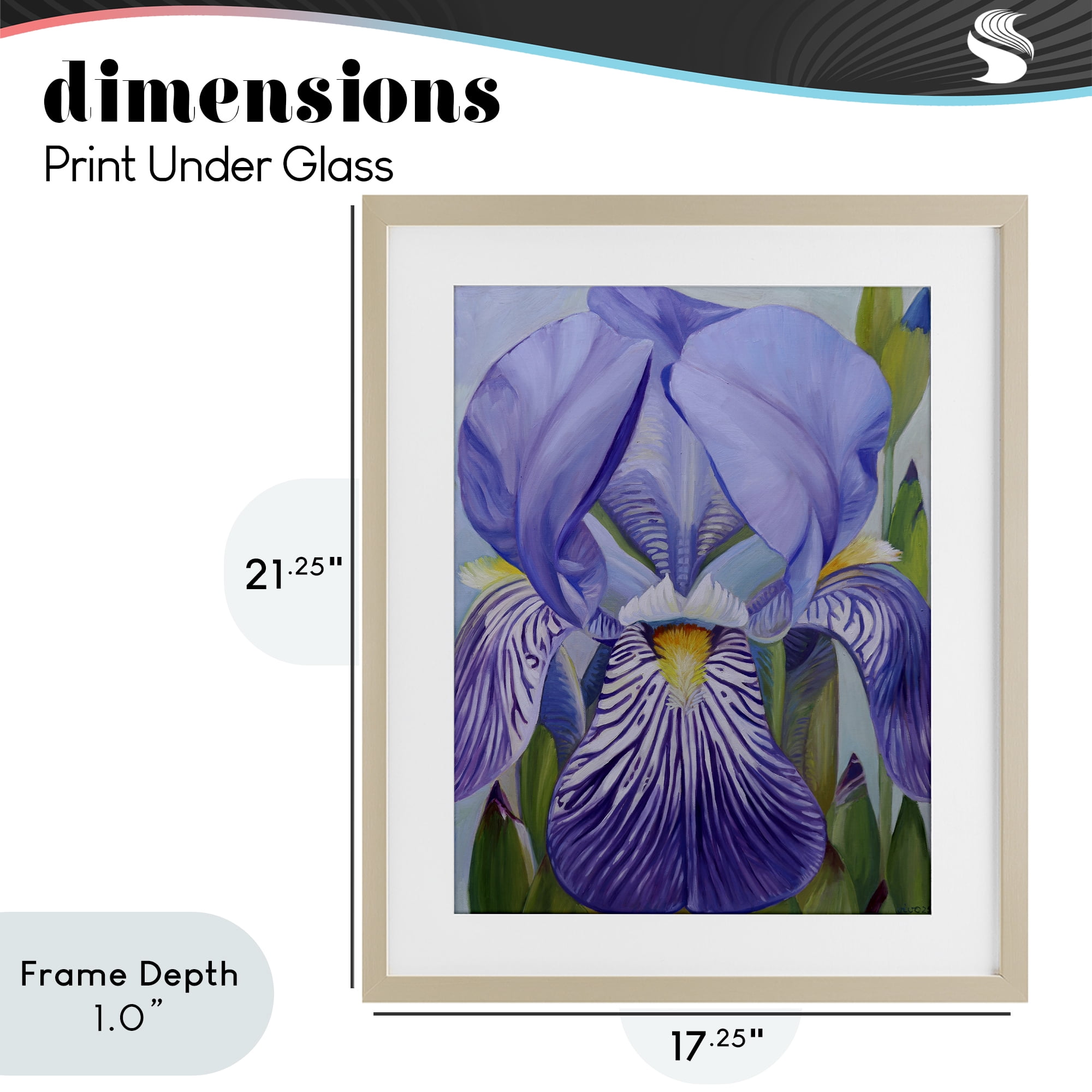 Stupell Industries Blooming Purple Iris Petals Birch Framed Print Under Glass, design by Violeta Vollmer
