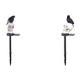 thumbnail image 1 of Lámpara Impermeable IP65 Resina Con Estaca Cuervo Y Calavera Solar para Halloween Jardín, 1 of 6
