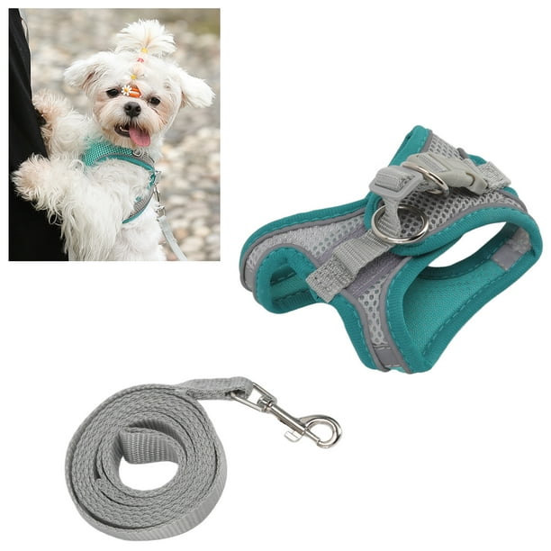 Ccdes Dog Harness And Leash Set For Small Dogs Reflective Adjustable Soft Padded Pet Vest Harness Leash Reflective Dog Harness For Small Dogs Cats M