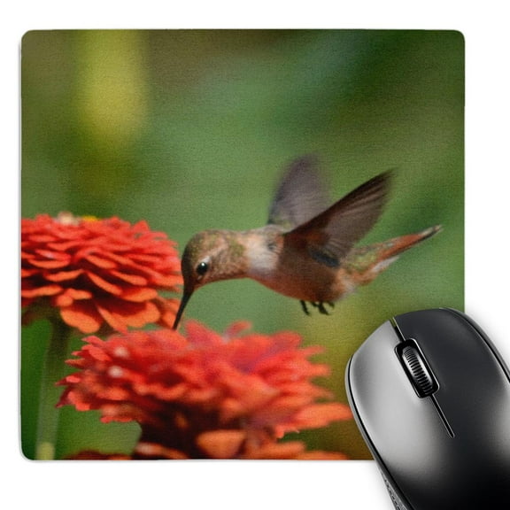 3dRose, Orange Zinnias and Hummingbird - Summer Photography, MousePad