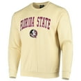 thumbnail image 2 of Men's Colosseum Gold Florida State Seminoles Arch & Logo Tackle Twill Pullover Sweatshirt, 2 of 3