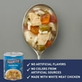 thumbnail image 3 of Progresso Traditional, Chicken Rice with Vegetables Canned Soup, 19 oz. (Pack of 4), 3 of 5