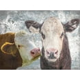 thumbnail image 2 of Lewis, Sheldon 32x25 White Modern Wood Framed Museum Art Print Titled - Two Moo, 2 of 4