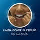 thumbnail image 2 of Hilo Dental Oral-B Essential Floss Sabor Menta, 2 pzas, 2 of 5