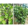 thumbnail image 3 of Gardening Expandable Plastic Rods for Cucumber Tomato Vine Plant Support 24 Pieces Green, 3 of 8