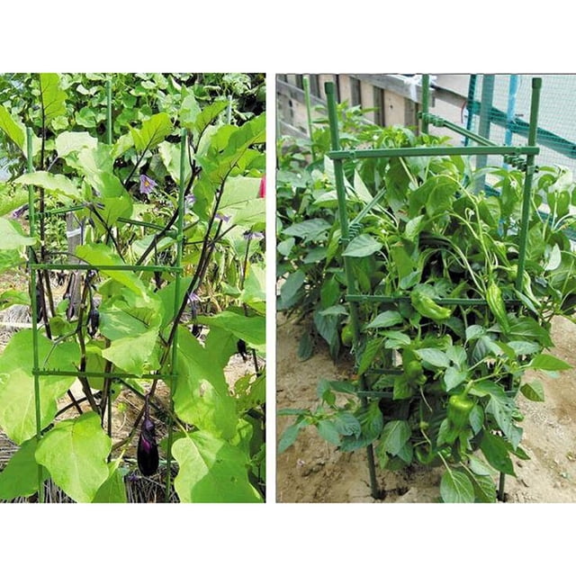 PAMINGONO 24Ud Conectores Expandibles Plásticos Para Bastones De Soporte En Plantas De Jardín