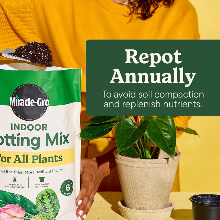 Miracle-Gro Indoor Potting Mix for All Plants, Use with Houseplants and  More, 16 qt. - Walmart.com