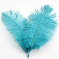 thumbnail image 1 of ¡Liquidación de flores artificiales! Plumas de avestruz de 30-35 cm, decoración de plumas coloridas, n.° 40, ¡oferta relámpago!, 1 of 7