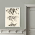 thumbnail image 4 of Wexford Home Goldfish II-Framed Canvas - White - 16X22, 4 of 4