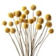 thumbnail image 1 of 20 piezas ramo de flores secas Yunnan bola pequeña-grande 1 pieza, 1 of 5