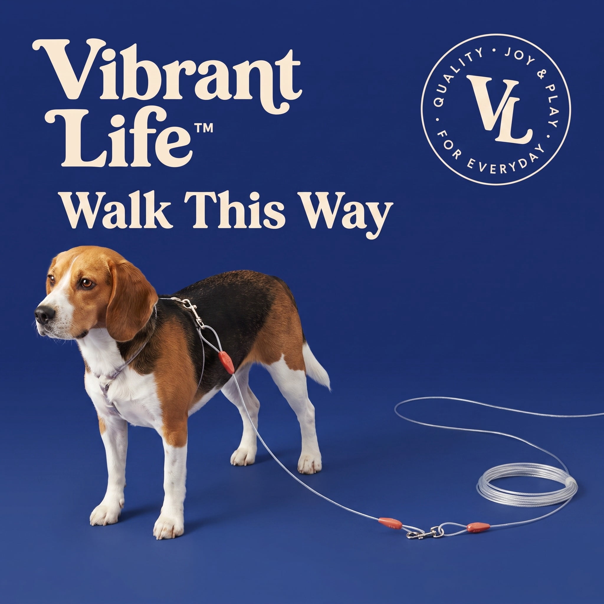 (3 pack) Vibrant Life Reflective Vinyl-Covered Tie-Out Cable for Dogs, S, 25'