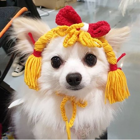 Halloween Chien Laine Chapeau Armure Tresse Bowknot Costume Casquette Cosplay Chapeau Pour Chiens Chats Walmart Canada