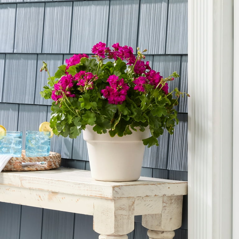 Mainstays Flint 7" x 9" x 7" Round Vanilla Dream Resin Planter - Walmart.com