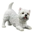 thumbnail image 1 of Veronese Design WU76901AA West Highland White Terrier Dog Sculpture, 1 of 3