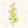 thumbnail image 2 of Pertiet, Katie 20x20 Gold Ornate Wood Framed with Double Matting Museum Art Print Titled - Floral Splash IV, 2 of 4