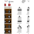 thumbnail image 5 of Laminated Banjo Chords Rolls and Fretboard Notes Poster - 8.5x11, 5 of 6