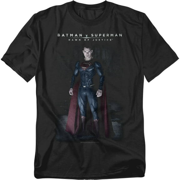 Batman V Superman Stand Tall Unisex Adult T Shirt For Men And Women