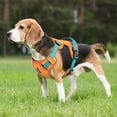 thumbnail image 6 of Didog Reflective Nylon Dog Harness No Pull Padded Vest with Handle for Small Large Dog, 6 of 8