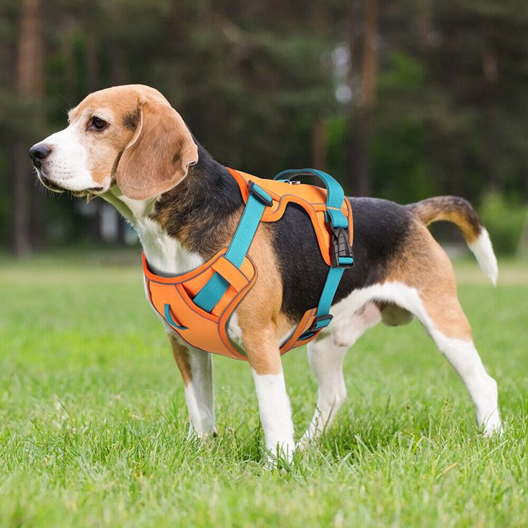 Didog Reflective Nylon Dog Harness No Pull Padded Vest with Handle