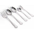 The Pioneer Woman Alex Marie 45Piece Stainless Steel Flatware Set