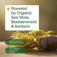 thumbnail image 6 of NatureBell 3-in-1 Sea Moss - 240 Vegetarian Capsules - Sea Moss Complex with Organic Bladderwrack & Organic Burdock Root - Healthy Digestion, Vitality & Immune Support - 120 Servings, 6 of 8