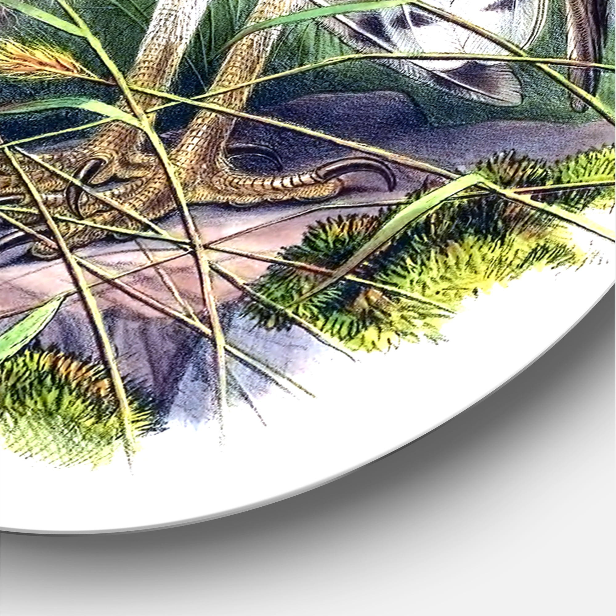 Designart 'Ancient Birds I' Traditional Circle Metal Wall Art 23x23 - Disc of 23