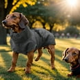 thumbnail image 2 of Unique Bargains Microfibre Dog Bathrobe Towel Dog Gown Washable Cat Gown Absorbent Bath Towel Quick Dry Pet Coat Gray S, 2 of 6