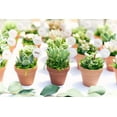 thumbnail image 4 of Home Botanicals Premium Pastel Succulent (Collection of 12), 4 of 4