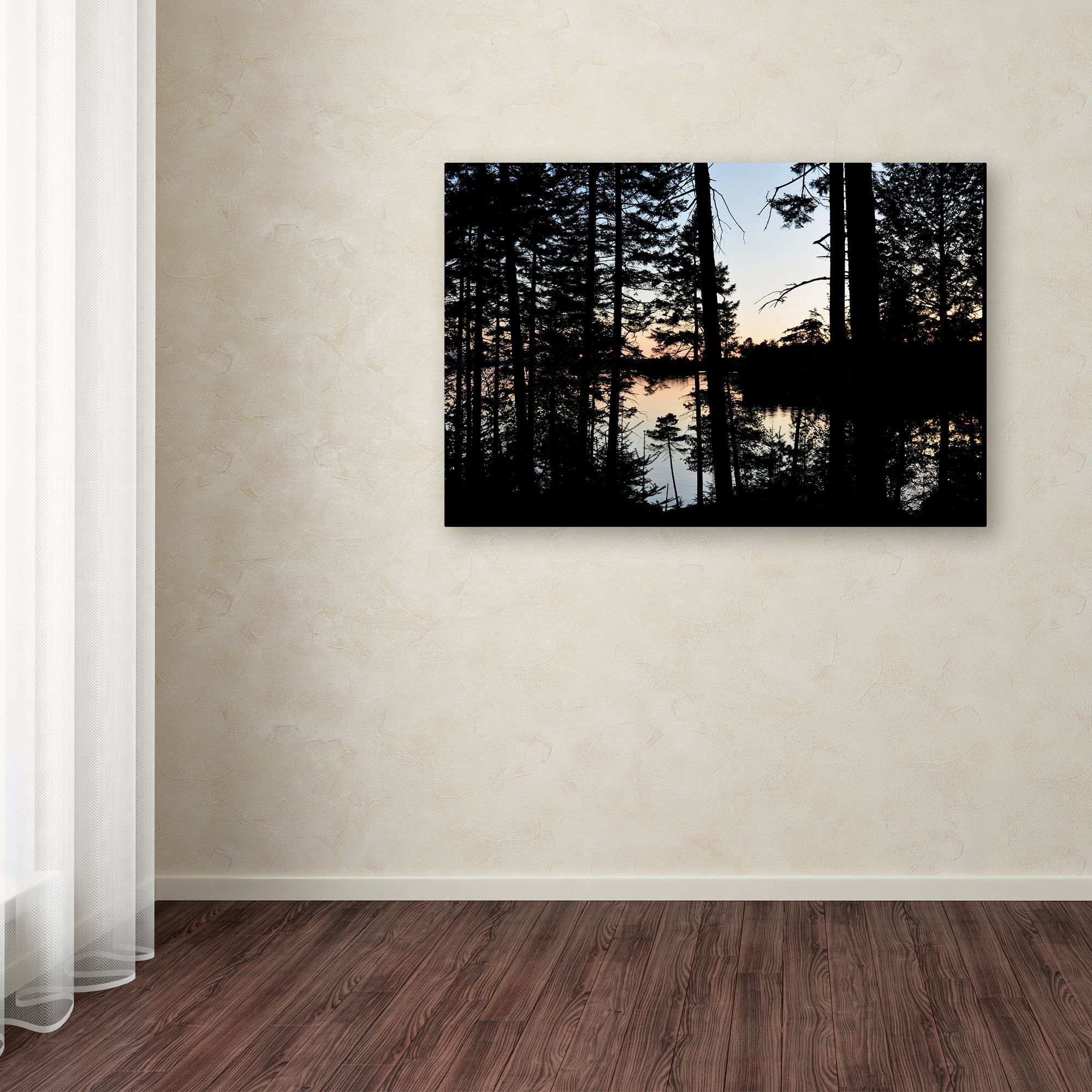 Trademark Fine Art 'Sunset Through the Trees' Canvas Art by Nicole Dietz