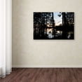 thumbnail image 3 of Trademark Fine Art 'Sunset Through the Trees' Canvas Art by Nicole Dietz, 3 of 3