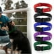 thumbnail image 5 of Collar reflectante con velcro para perros: dona un collar a una organización de rescate de perros, 5 of 5